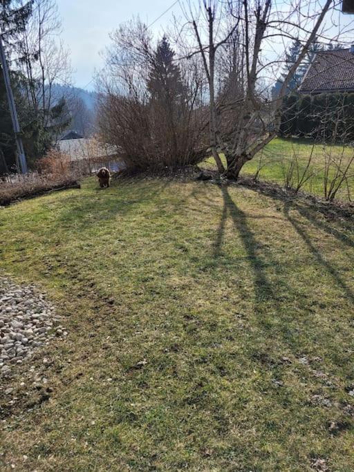 Appartement Le Flocon, Joli Petit Cocon 4 Pers En Rez De Jardin Draps Inclus Les Rousses Eksteriør bilde